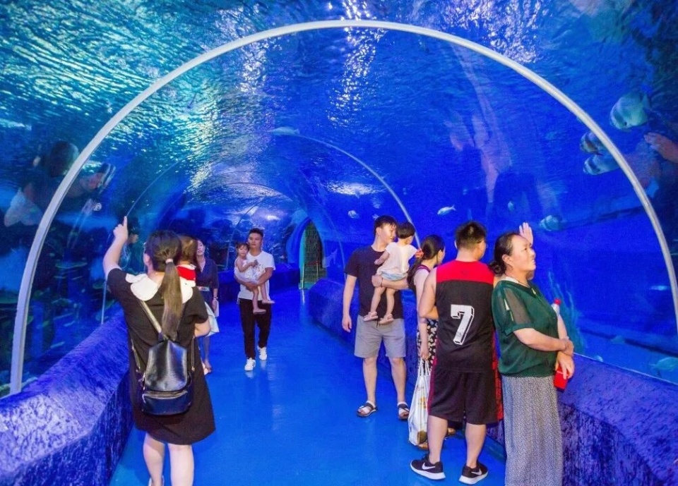 bt, 力开赛 bt, 力开赛